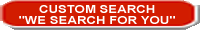 CUSTOM SEARCH